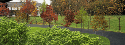 com_EntranceDriveway